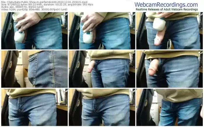 chaturbate-perfectdick00-12-01-2023-20-32-21