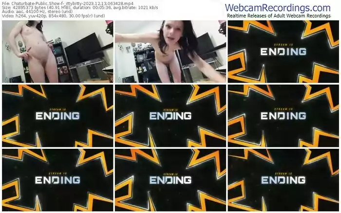 chaturbate-_ittybitty-12-13-2023-06-34-28