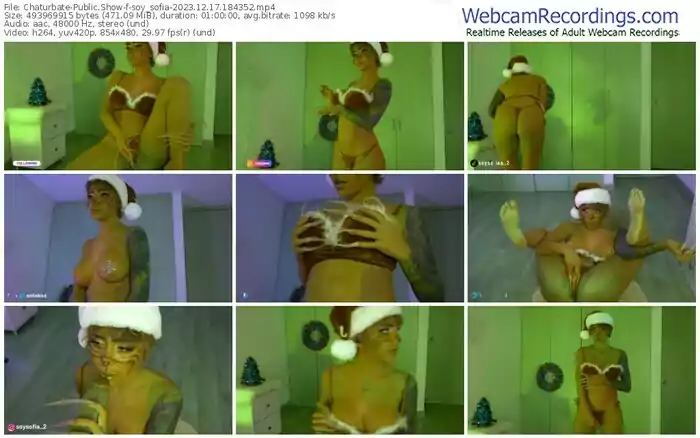 chaturbate-soy_sofia-12-17-2023-18-43-52