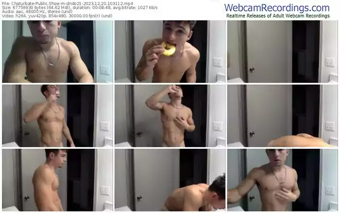 chaturbate-dndo21-12-20-2023-10-31-12