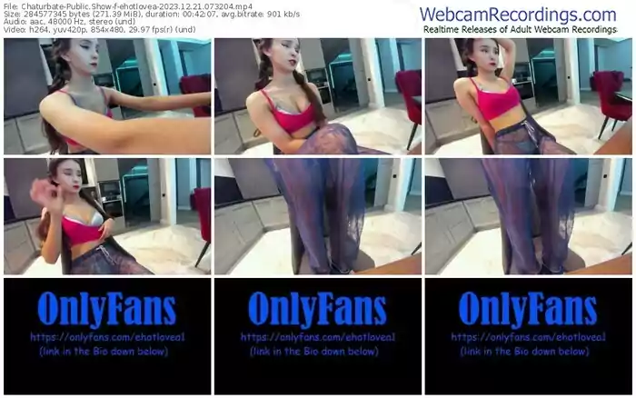 chaturbate-ehotlovea-12-21-2023-07-32-04