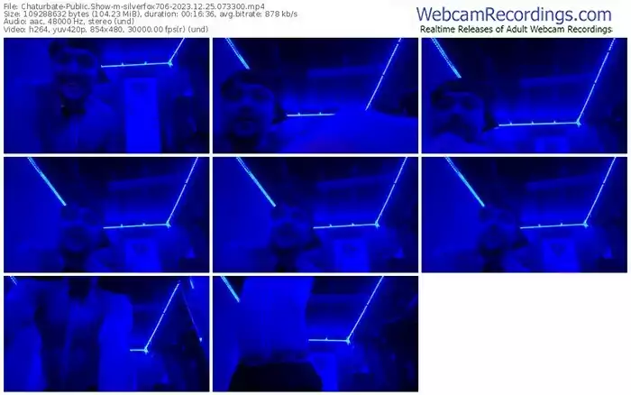 chaturbate-silverfox706-12-25-2023-07-33-00