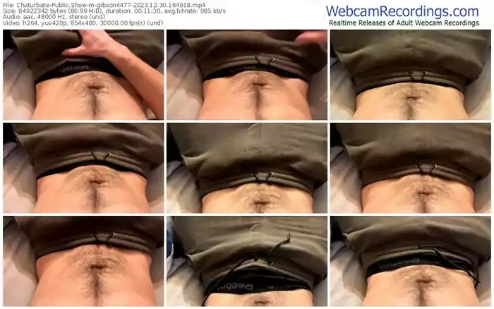 chaturbate-gibson4477-12-30-2023-16-49-18