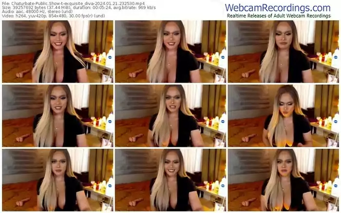 chaturbate-exquisite_diva-01-21-2024-23-25-30