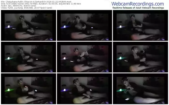 chaturbate-d_fantazdick-01-22-2024-04-28-44