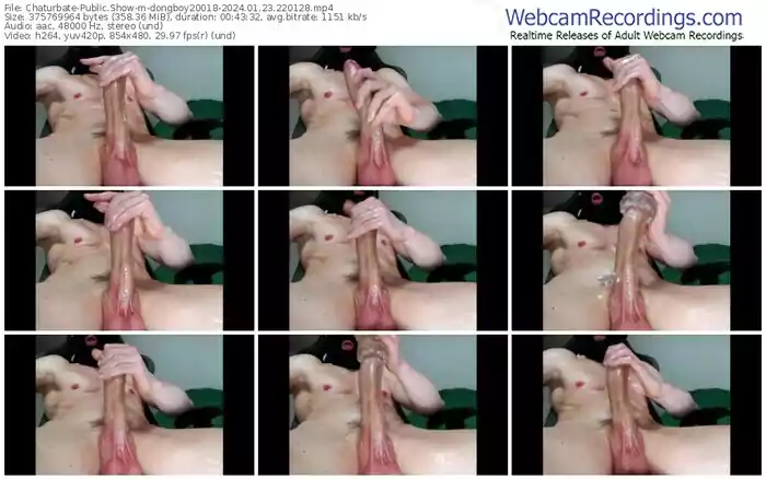 chaturbate-dongboy20018-01-23-2024-22-01-28