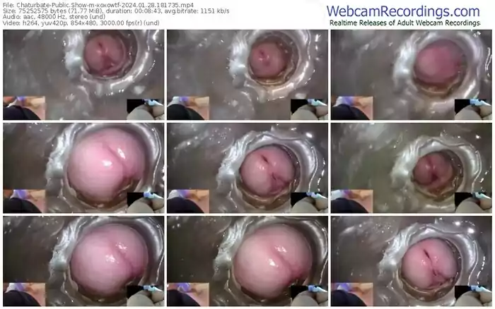 chaturbate-xoxowtf-01-28-2024-18-17-35