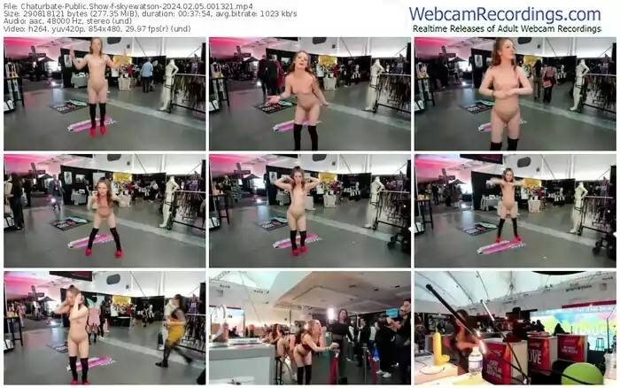 chaturbate-skyewatson-02-05-2024-00-13-21