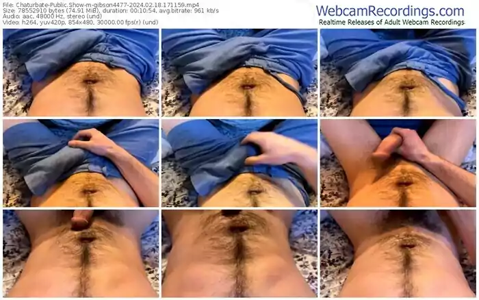 chaturbate-gibson4477-02-18-2024-17-11-59