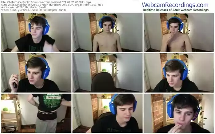 chaturbate-artdimension-02-20-2024-00-08-11
