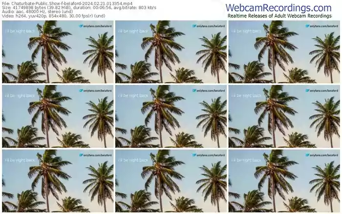 chaturbate-belaford-02-21-2024-01-33-54