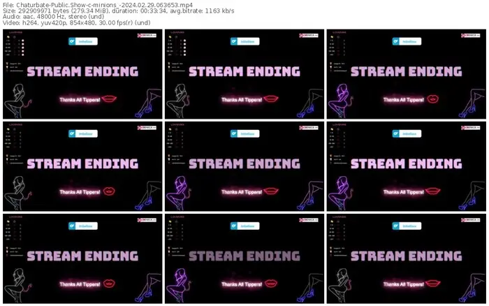 chaturbate-minions_-02-29-2024-06-36-53