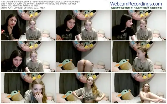 chaturbate-leanbeefpattywannabe-03-10-2024-04-50-05