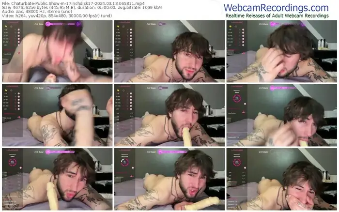 chaturbate-17inchdick17-03-13-2024-06-58-11