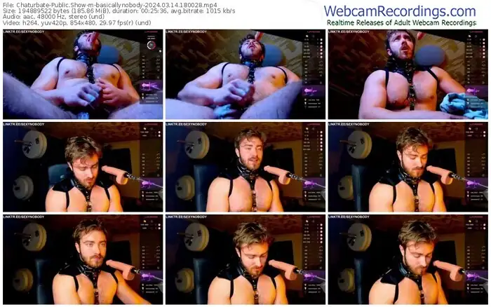 chaturbate-basicallynobody-03-14-2024-18-00-28