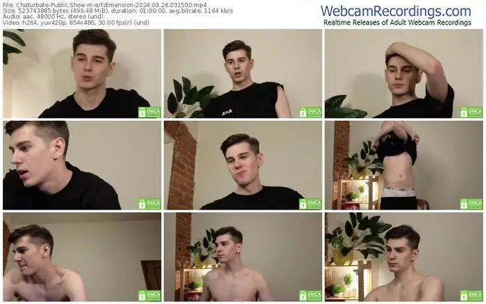 chaturbate-artdimension-03-26-2024-03-15-00