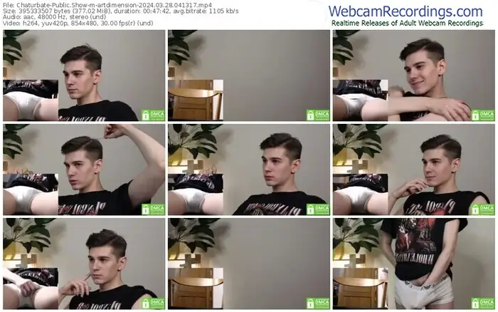 chaturbate-artdimension-03-28-2024-04-13-17