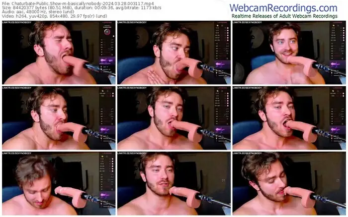 chaturbate-basicallynobody-03-28-2024-00-31-17