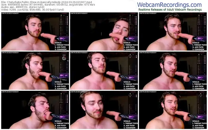 chaturbate-basicallynobody-03-29-2024-02-19-07