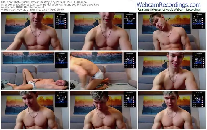 chaturbate-destroy_boy-03-29-2024-10-06-01