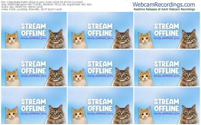 chaturbate-jerry_lucky-03-29-2024-01-11-14