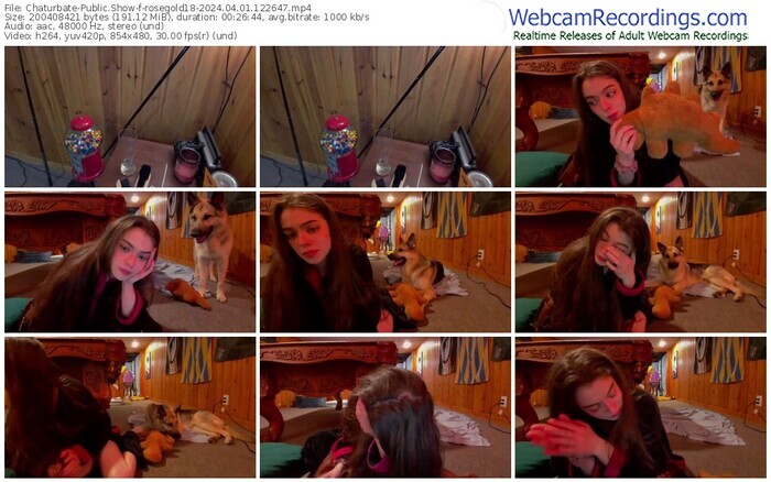 chaturbate-rosegold18-04-01-2024-12-26-47
