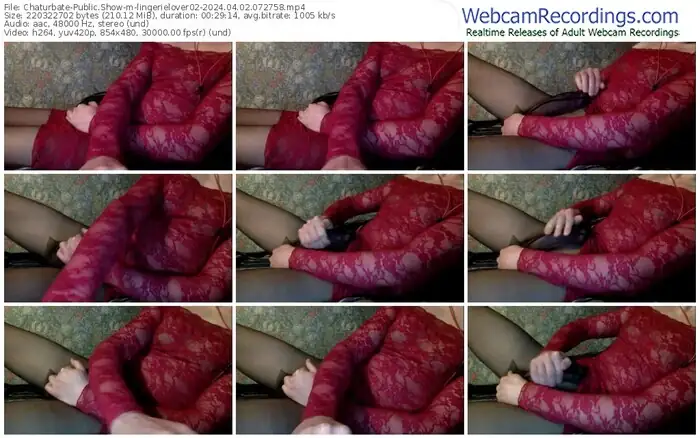 chaturbate-lingerielover02-04-02-2024-07-27-58
