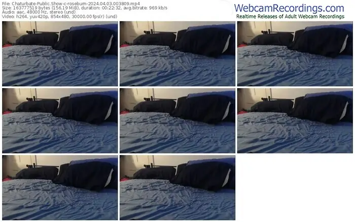 chaturbate-roseburn-04-03-2024-00-38-09