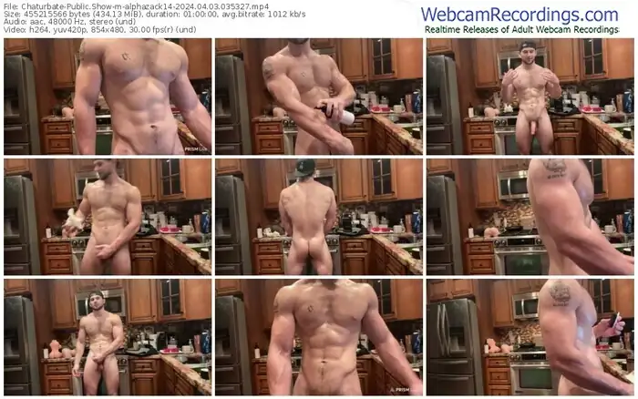 chaturbate-alphazack14-04-03-2024-03-53-27