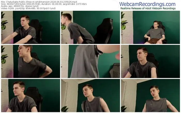 chaturbate-artdimension-04-03-2024-23-55-26