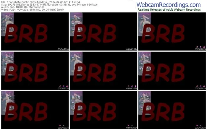 chaturbate-jaddyk_-04-03-2024-08-14-11