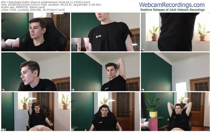 chaturbate-artdimension-04-11-2024-04-30-10