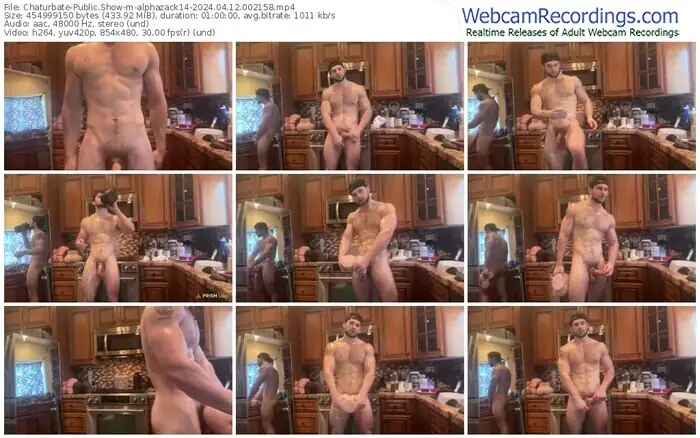 chaturbate-alphazack14-04-12-2024-00-21-58