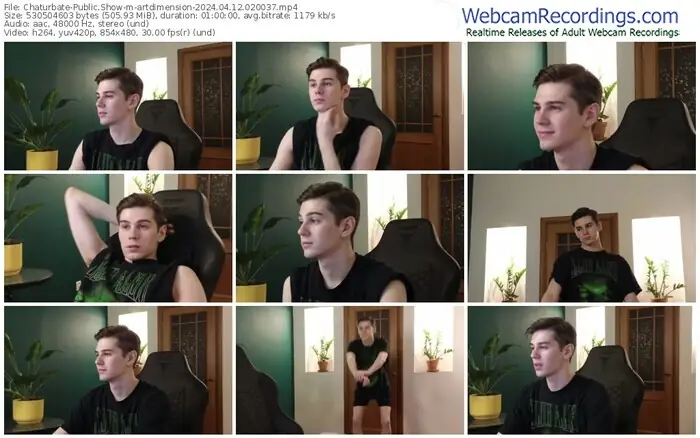 chaturbate-artdimension-04-12-2024-02-00-37