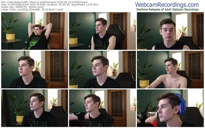 chaturbate-artdimension-04-12-2024-03-03-50