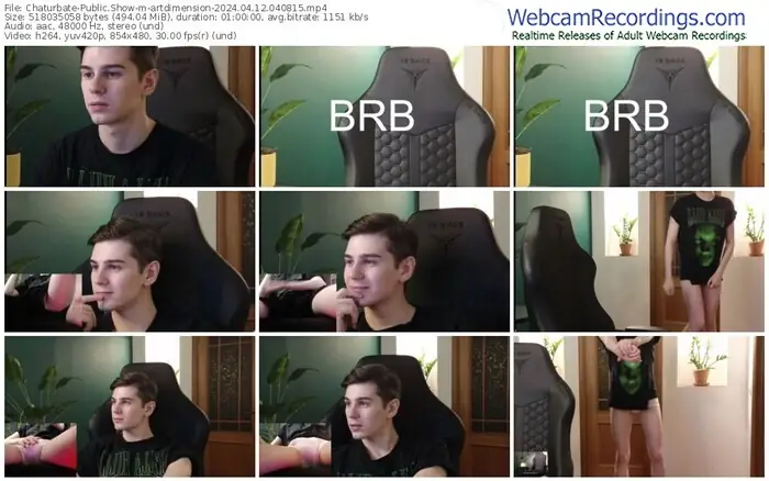 chaturbate-artdimension-04-12-2024-04-08-15