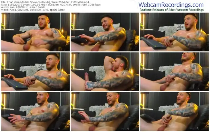 chaturbate-davidd_blake-04-12-2024-08-14-26