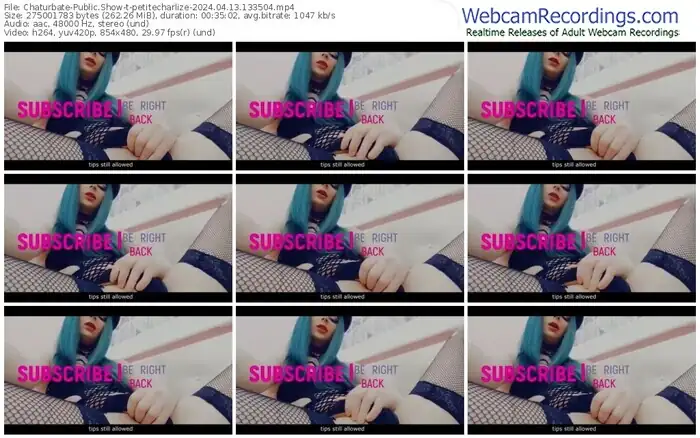 chaturbate-petitecharlize-04-13-2024-13-35-04
