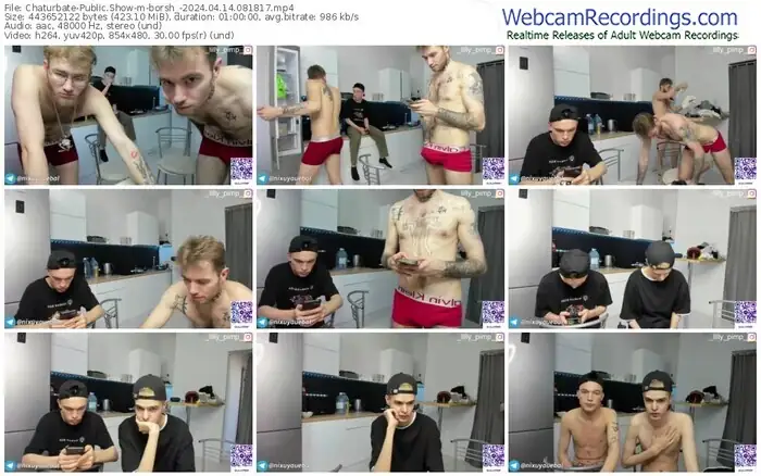 chaturbate-borsh_-04-14-2024-08-18-17