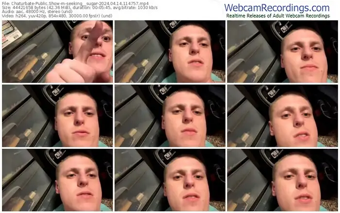 chaturbate-seeking__sugar-04-14-2024-11-47-57