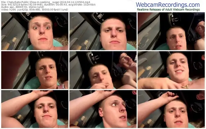 chaturbate-seeking__sugar-04-14-2024-12-05-04