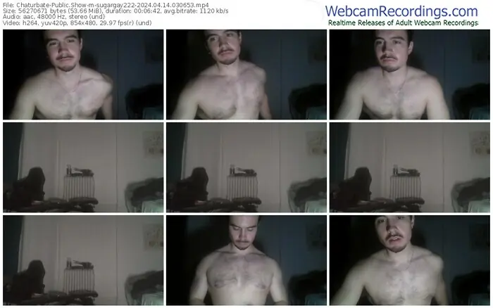 chaturbate-sugargay222-04-14-2024-03-06-53