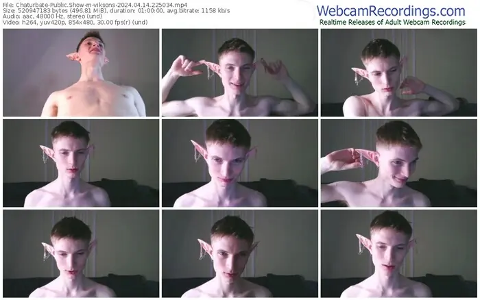 chaturbate-viksons-04-14-2024-22-50-34