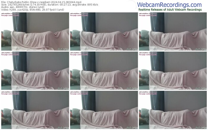 chaturbate-raspberr-04-15-2024-08-30-44