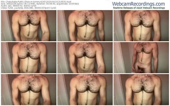 chaturbate-tommy4193-04-16-2024-21-45-31
