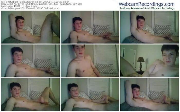 chaturbate-ealexk-04-17-2024-03-16-12