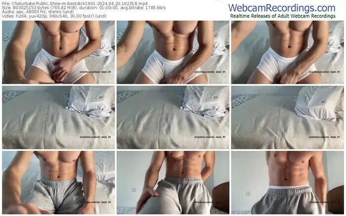 chaturbate-bestdick1991-04-20-2024-16-23-18