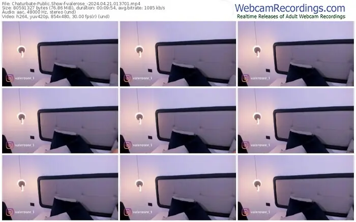 chaturbate-valerose_-04-21-2024-01-37-01