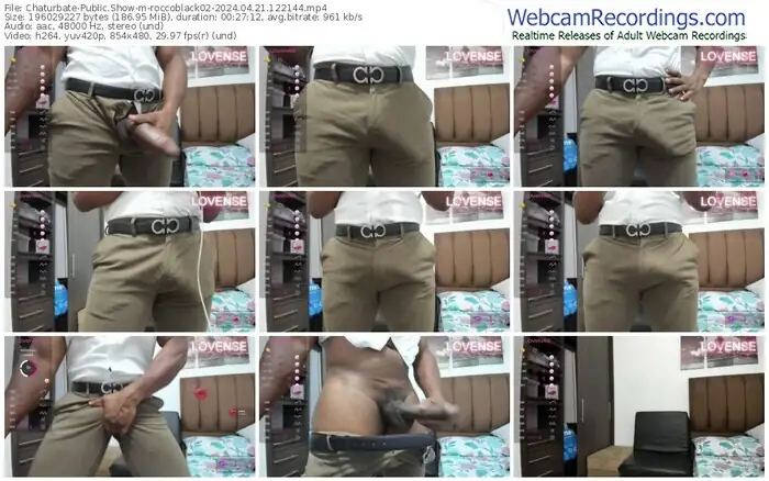 chaturbate-roccoblack02-04-21-2024-12-21-44