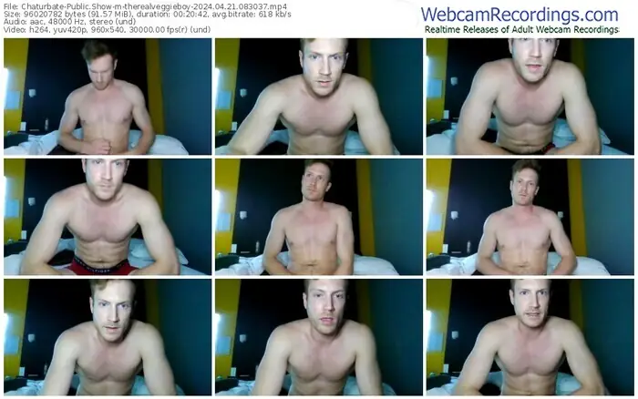 chaturbate-therealveggieboy-04-21-2024-08-30-37